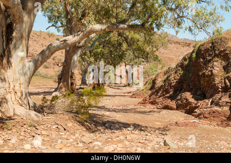 Brachina Gorge, Flinders Range National Park, South Australia Stockfoto