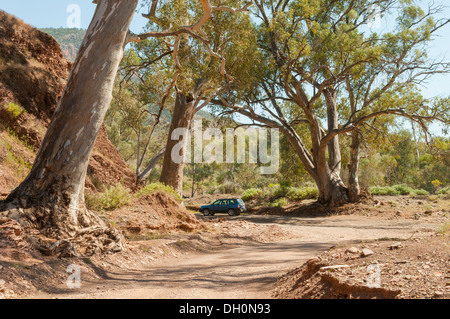 Straße durch Brachina Gorge, Flinders Range National Park, South Australia Stockfoto