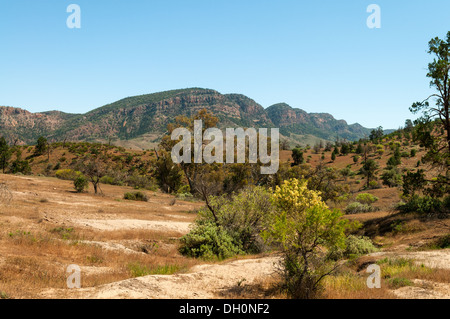 Trezona reichen von Brachina Gorge Road, Flinders Range National Park, South Australia Stockfoto