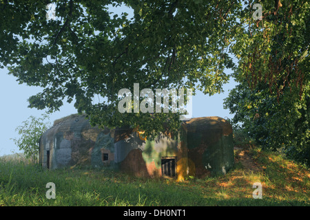 alten konkrete Verteidigung Bunker aus dem zweiten Weltkrieg Stockfoto