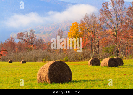 Nebel steigt auf dem Pepacton Stausee hinter einem eingereicht von Heuballen in den Catskills Mountains von New York Stockfoto