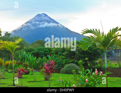 Ein üppiger Garten in La Fortuna, Costa Rica mit Arenal Vulkan im Hintergrund Stockfoto