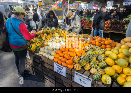 Shopping für Squash und Kürbisse in der Union Square Greenmarket in New York auf Samstag, 26. Oktober 2013. (© Richard B. Levine) Stockfoto