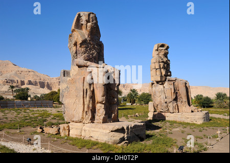 Kolosse von Memnon am Westufer des Nils in Luxor, Ägypten Stockfoto