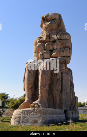 Kolosse von Memnon am Westufer des Nils in Luxor, Ägypten Stockfoto