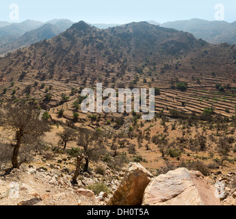 Aufnahmen auf einer Straße Reise durch den Anti-Atlas-Gebirge in der Stadt von Taroudant, Süden von Marokko, Nordafrika Stockfoto