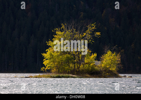 Kleine Insel im See Eibsee nahe Zugspitze Berg, Bayern Stockfoto