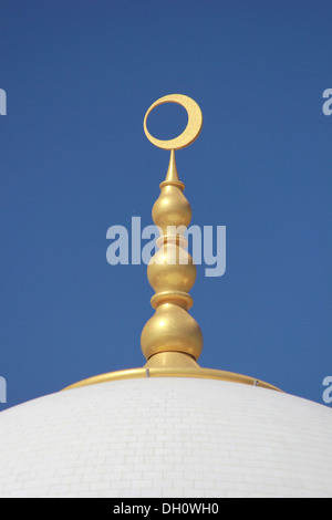 Eine Kuppel die Sheikh-Zayed-Moschee, Abu Dhabi, Vereinigte Arabische Emirate Stockfoto