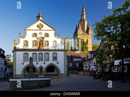 St.-Petri Brunnen auf dem Marktplatz mit dem Rathaus und der Pfarrkirche St. Peter und Andrew, Brilon Stockfoto