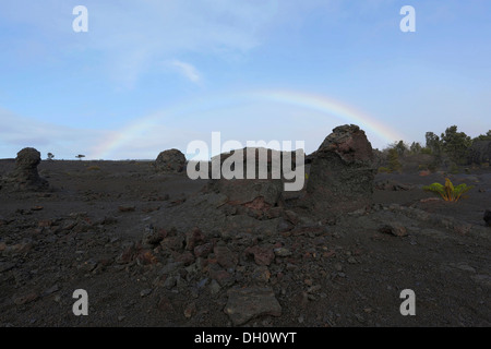 Regenbogen, Lavastrom von 1973, Mauna Ulu, Hawaii Volcanoes National Park, Big Island, USA Stockfoto