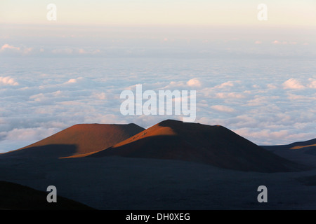 Krater in der Rift-Zone von Mauna Kea Schildvulkan, Big Island, Hawaii, USA Stockfoto