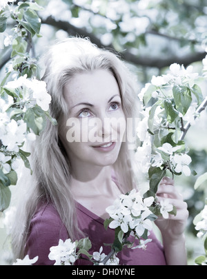 Frau in der Nähe der blühenden Apfelbaum. Stockfoto