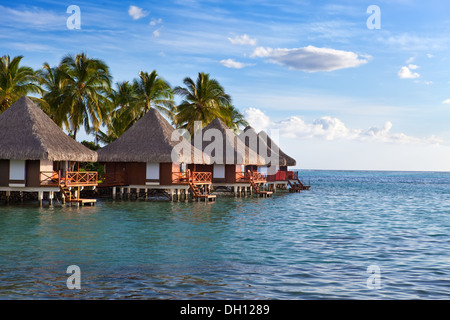 Seeküste mit Palmen und kleinen Häusern Stockfoto