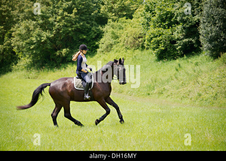 Frau auf Pferd in Landschaft im ländlichen Raum, Baden Württemberg, Deutschland, Europa Stockfoto