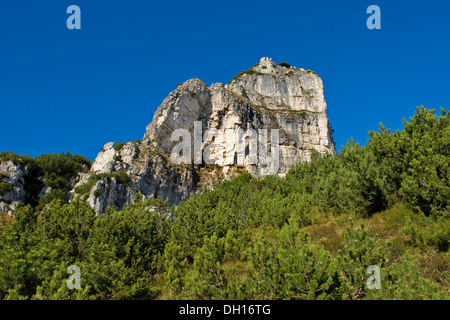 Pass Campogrosso, Recoaro Terme, Veneto, Italien Stockfoto