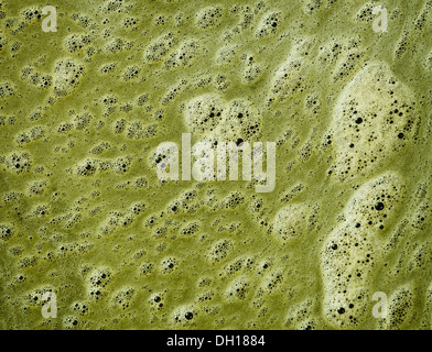 Die grünen Schaum auf der Oberfläche der Schmutzwasser - Hintergrund Stockfoto