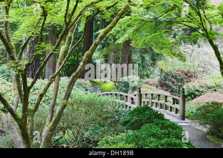 Holzbrücke im japanischen Garten, Portland, Oregon, Vereinigte Staaten von Amerika Stockfoto