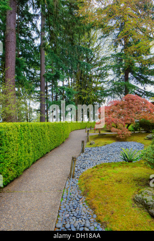 Hecken und Gehweg im japanischen Garten, Portland, Oregon, Vereinigte Staaten von Amerika Stockfoto