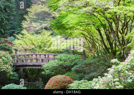 Holzsteg im japanischen Garten, Portland, Oregon, Vereinigte Staaten von Amerika Stockfoto