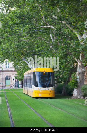 Straßenbahn entlang von Bäumen gesäumten Straße, Szeged, südlichen Plain, Ungarn Stockfoto