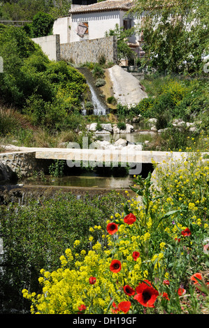 Stream durch Dorf mit Mohnblumen im Vordergrund, Velez Blanco, der Almeria Provinz, Andalusien, Spanien, Europa. Stockfoto