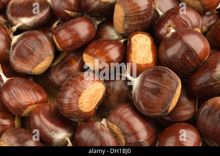 Reife Kastanien Obst Muttern auf Boden mit glänzenden Nuss Mäntel Fällen Schutz Inhalt Stockfoto