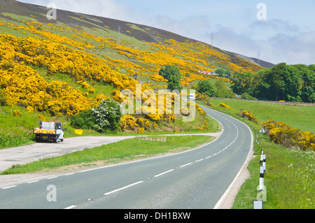 A9 in der Nähe von Helmsdale, Sutherland, Küste, Highland Region, Scotland, UK Stockfoto