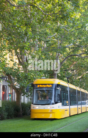 Straßenbahn entlang von Bäumen gesäumten Straße, Szeged, südlichen Plain, Ungarn Stockfoto