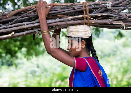 Indische Dorf Frau mit Brennholz auf dem Kopf in der indischen Landschaft. Andhra Pradesh, Indien Stockfoto