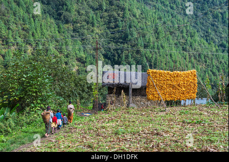 Mais trocknet auf einem riesigen Gestell, wie Dorfbewohner nach einem Tag Arbeit an den hohen hängen in der Nähe von Tawang in Arunachal Pradesh, Indien Rückkehr Stockfoto