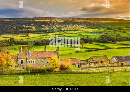 Traditionelles Bauernhaus inmitten der North York Moors mit Blick auf Felder und Täler in Glaisdale, Yorkshire, Großbritannien. Stockfoto