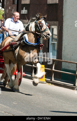 Das jährliche Pferd fair bei Appleby, Cumbria, UK Stockfoto