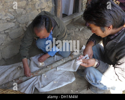 Nepal Malemchigaun Sherpa Dorf, Langtang. Shitake Pilz Anbau vorbereiten ein Protokoll. Stockfoto