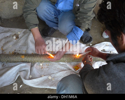 Nepal Malemchigaun Sherpa Dorf, Langtang. Shitake Pilz Anbau vorbereiten ein Protokoll. Stockfoto