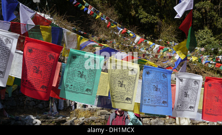 Nepal Malemchigaun Sherpa Dorf, Langtang. Gebetsfahnen. Stockfoto