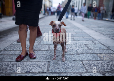 Szenen aus Oaxaca-Stadt am mexikanischen Unabhängigkeitstag 2013. Stockfoto