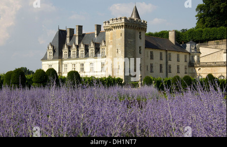 Château de Villandry und Gärten, Loiretal, Frankreich Stockfoto