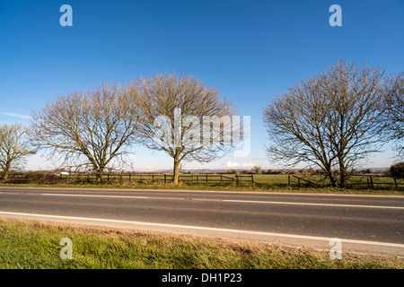A259 Straße Richtung Chichester aus Bognor Regis in West Sussex, UK Stockfoto