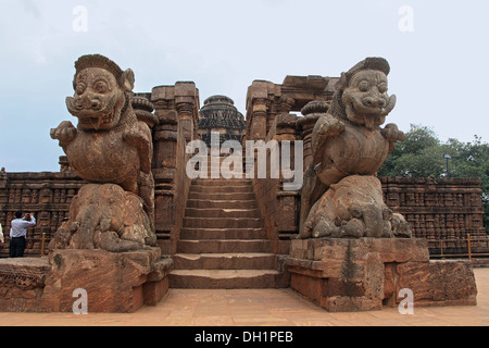 Löwe auf Elefanten Skulptur am Eingang Konark Sun Temple Orissa Indien Stockfoto