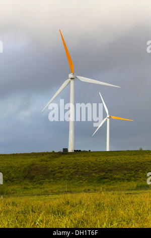 Wind Farm, Kohala Coast, Big Island, Hawaii, USA Stockfoto