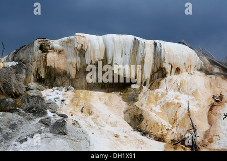 Kalkstein-Terrassen von Mammoth Hot Springs, Yellowstone-Nationalpark, Wyoming, USA, Amerika Stockfoto