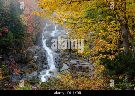 Silber-Kaskade, White Mountain National Forest, Hart es Location, New Hampshire 03575, USA Stockfoto