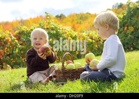 Zwei glückliche Kinder, einen kleinen Jungen und seinem kleinen Bruder sitzen in den Rasen auf einer Apfelplantage im Herbst vor Stockfoto