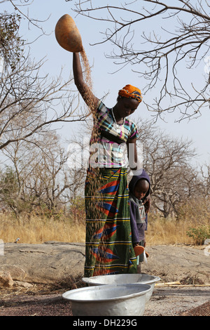 Frauen Worfeln Sorghum, Hirse nach der Ernte, Burkina Faso Stockfoto