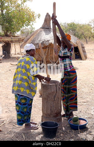 Frauen, die Hirse in einem hölzernen Mörser stampfen. Dorf Sissénin in der Nähe von Koudougou, Burkina Faso, Afrika Stockfoto