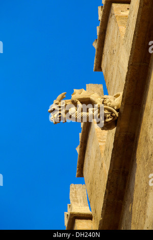 Detail der La Lonja De La Seda, Valencia, Spanien Stockfoto