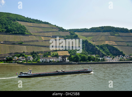 Lastkahn auf dem Rhein vor Assmannshausen, Oberes Mittelrheintal, ein UNESCO-Weltkulturerbe, Rheinland-Pfalz Stockfoto