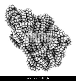 Polyethylen (PE, Polyethylen, Polyethylen) aus Kunststoff, chemische Struktur - Detail. Atome werden als Kugeln dargestellt. Stockfoto