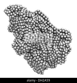 Polyethylen (PE, Polyethylen, Polyethylen) aus Kunststoff, chemische Struktur. Atome werden als Kugeln dargestellt. Stockfoto