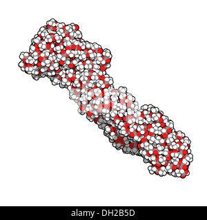 Polymilchsäure (PLA, Polylactid) Säure Biokunststoff, chemische Struktur. Kompostierbaren Polymer in medizinischen Implantaten, etc. verwendet Stockfoto